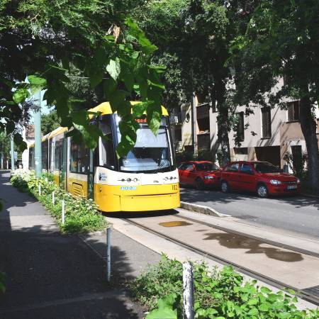 Szegedi villamospálya sikere